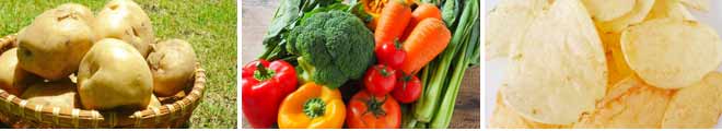 エチレンガス濃度計は野菜の長期保存に必要なエチレンガスの濃度を測定します。